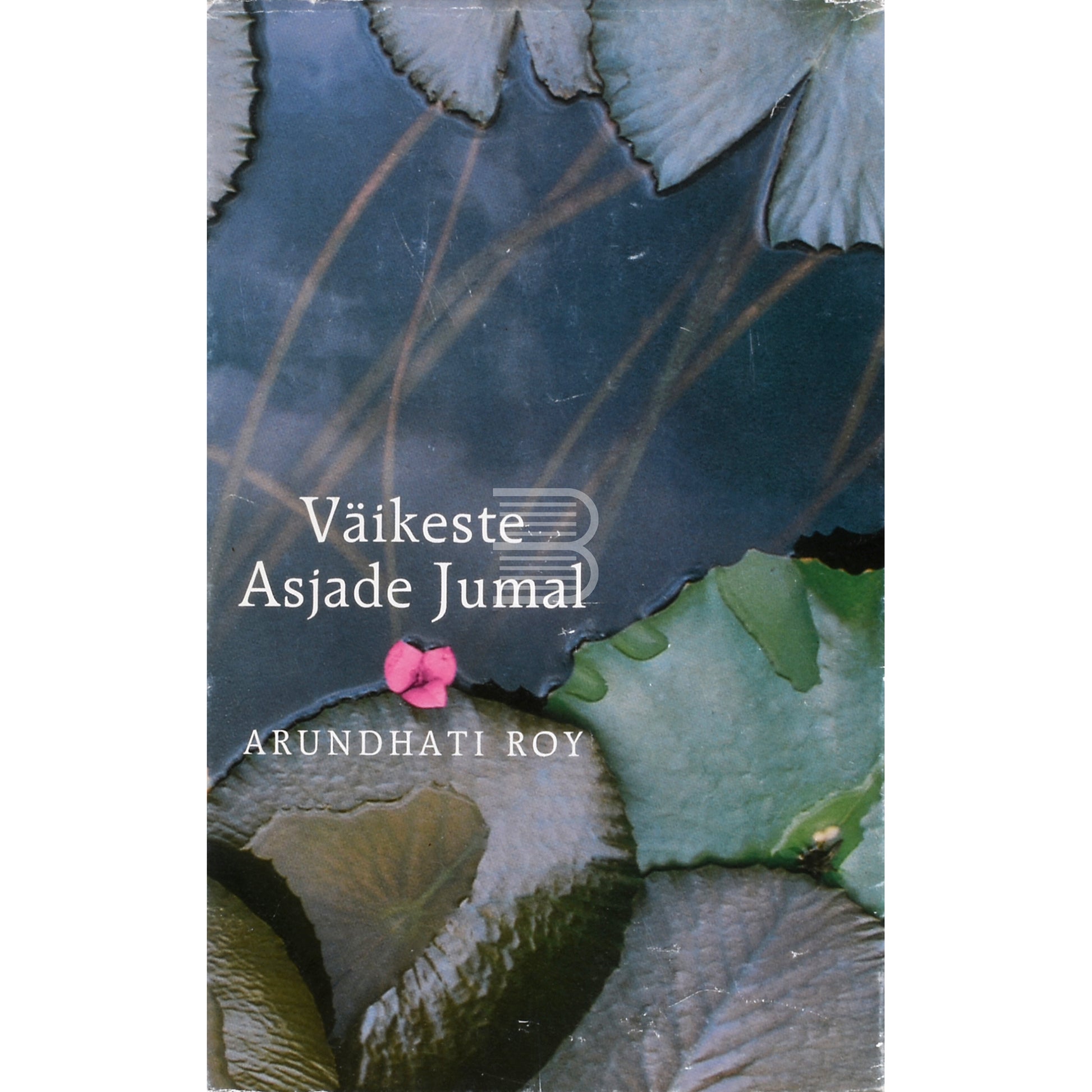 Arundhati Roy. Väikeste asjade jumal