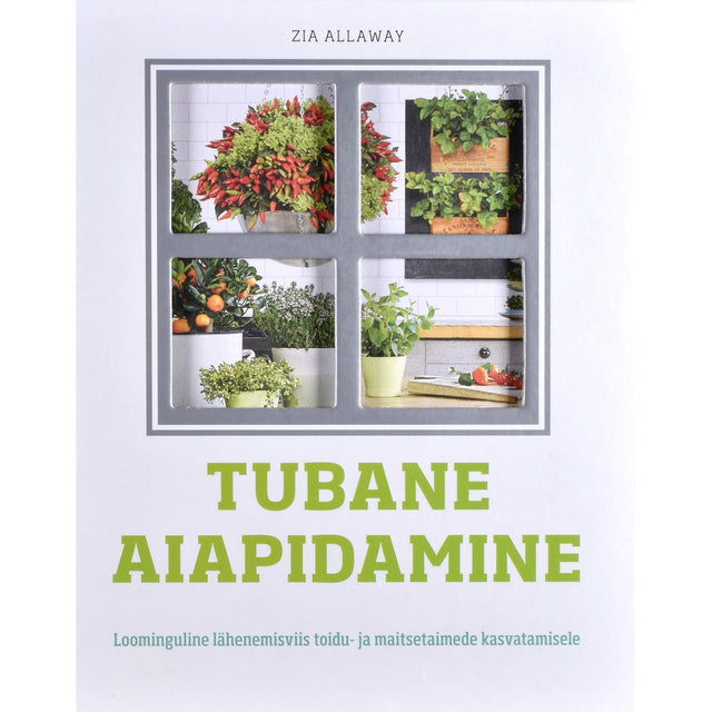 Zia Allaway. Tubane aiapidamine