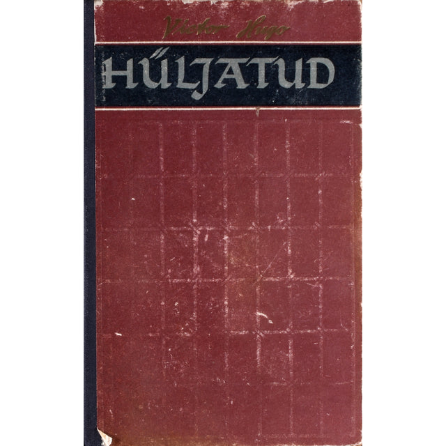 Victor Hugo. Hüljatud 1. osa