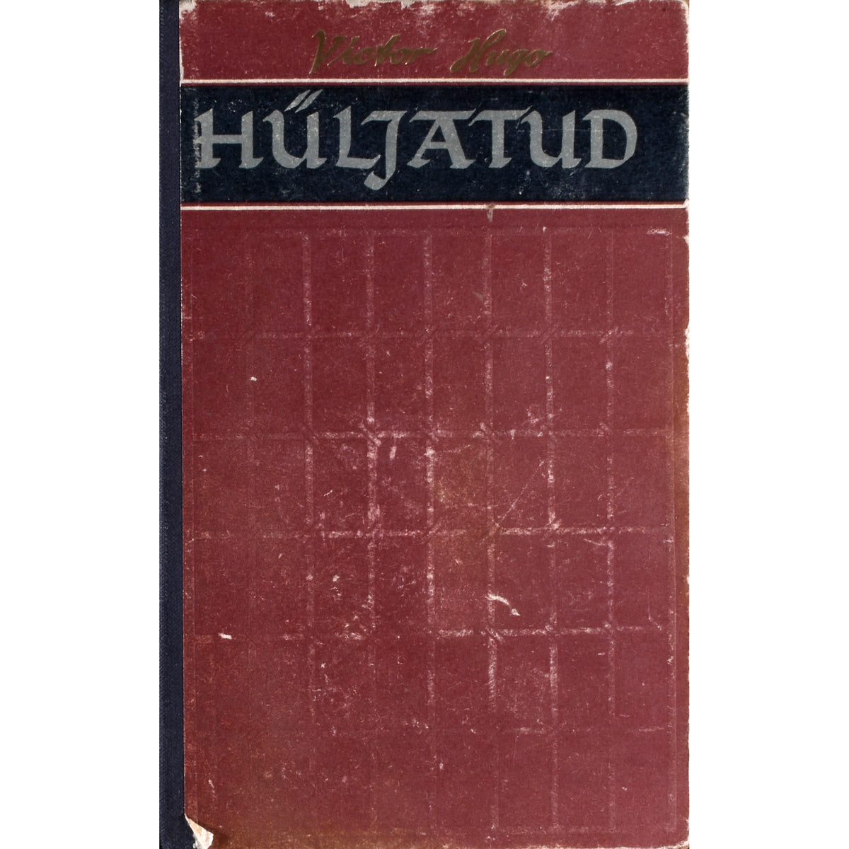 Victor Hugo. Hüljatud 1. osa
