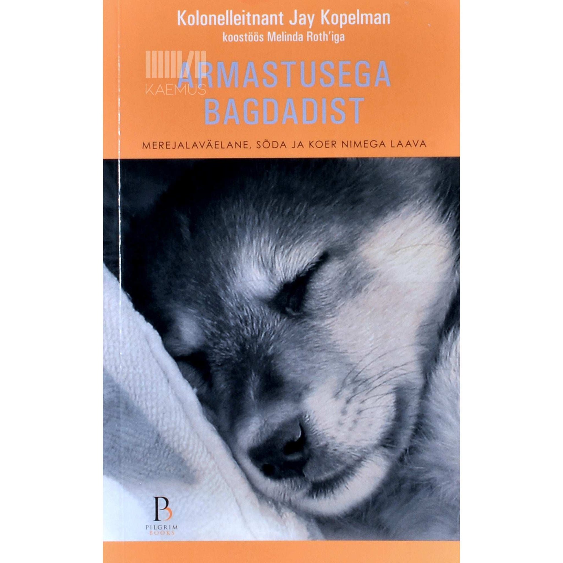 Jay Kopelman - Armastusega Bagdadist. Merejalaväelane, sõda ja koer nimega Laava