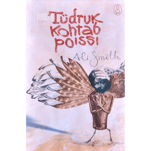 Ali Smith - Tüdruk kohtab poissi