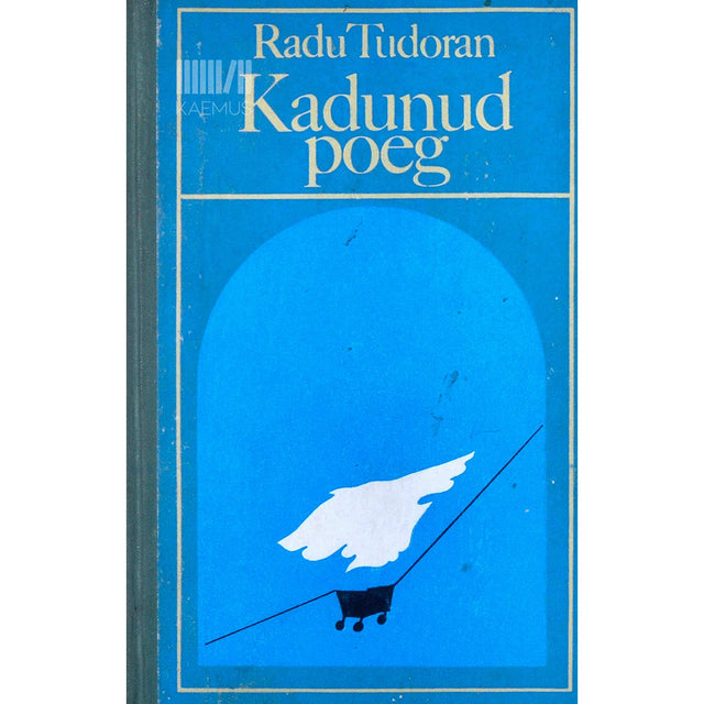 Radu Tudoran - Kadunud poeg