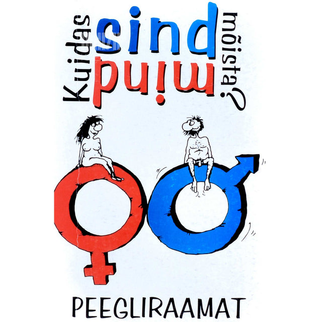 … - Kuidas sind mind mõista? Peegliraamat